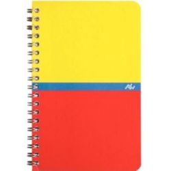 Carnet 11x17cm 5 x 5 100 p Spirale 70g **