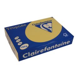 Rame A3 - 160g - Jaune Jonquille CLAIREFONTAINE (250 f) //