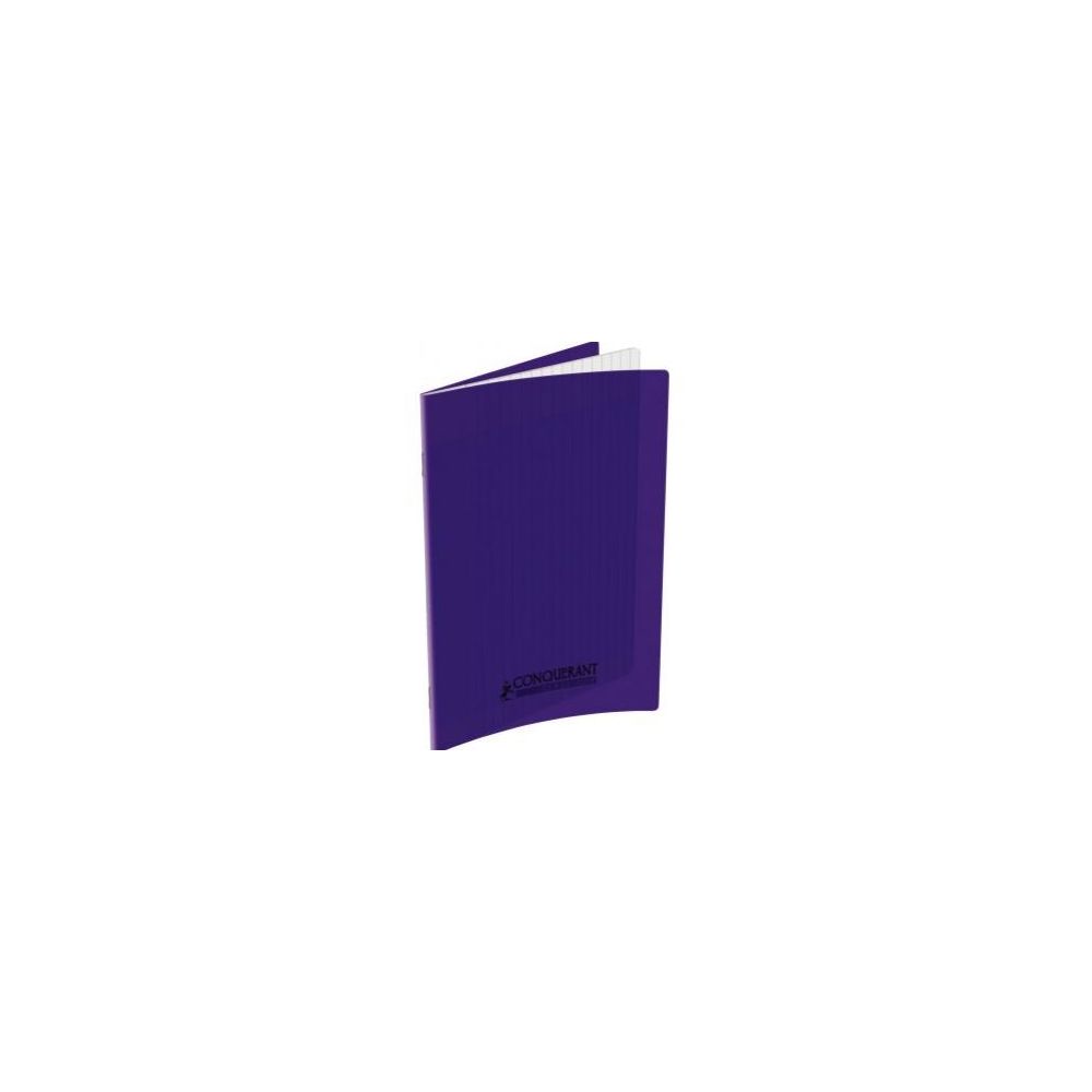 Cahier 17x22cm Séyès 96 p Piqûre 90g Polypro VIOLET **