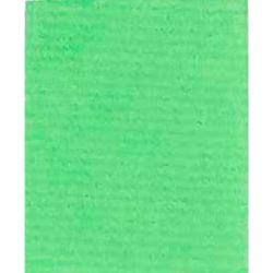 Papier kraft en rouleau  65g 0.7 x 3m VERT BOURGEON  - Z