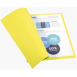 Chemise 24 x 32cm 170g par 100 JAUNE FOREVER //