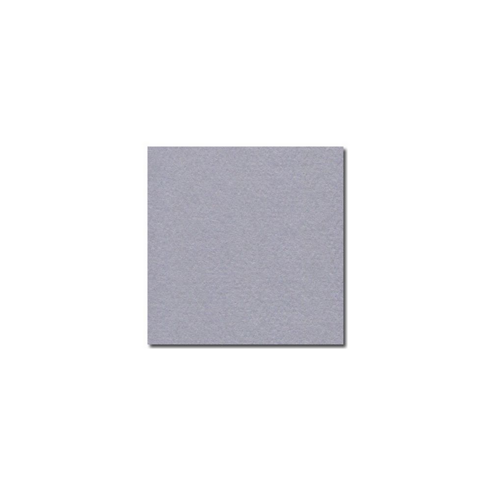 Feuille dessin 50x65cm 160g GRIS PALE (feuille) CLAIREFONTAINE - Z