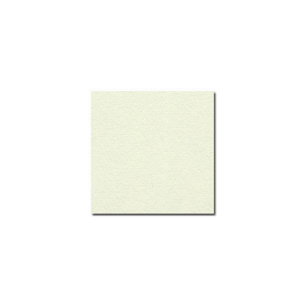 Feuille dessin 50x65cm 160g VERT TILLEUL (la feuille)  - Z