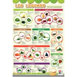 Poster pédagogique plastifié "LES LEGUMES" - 76 x 52 cm