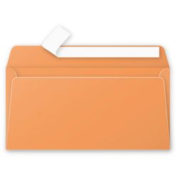 Enveloppe Pollen 110 x220mm - 120g - CLEMENTINE (Paquet de 20) - Z