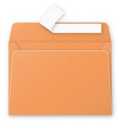 Enveloppe Pollen 114 x162mm - 120g - CLEMENTINE (Paquet de 20) - Z