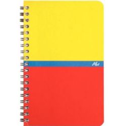 Carnet 11x17cm 5 x 5 100 p Spirale 70g **