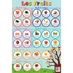 Poster pédagogique plastifié "LES FRUITS" - 76 x 52 cm